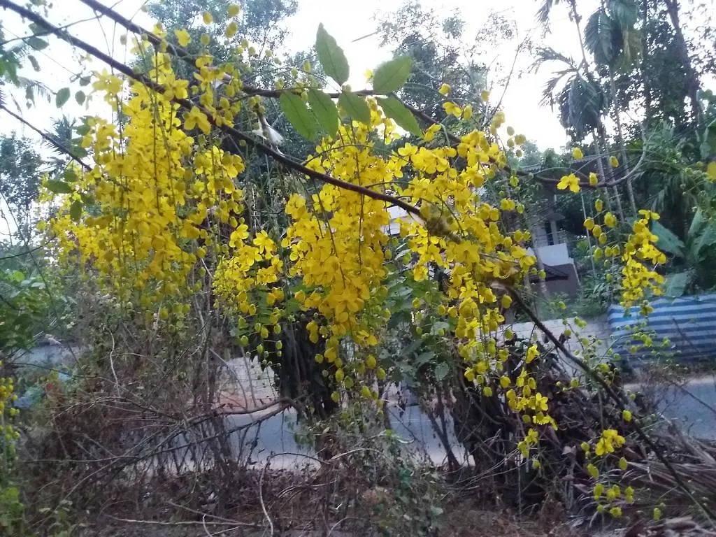 Marari Mourin Homestay Mararikulam